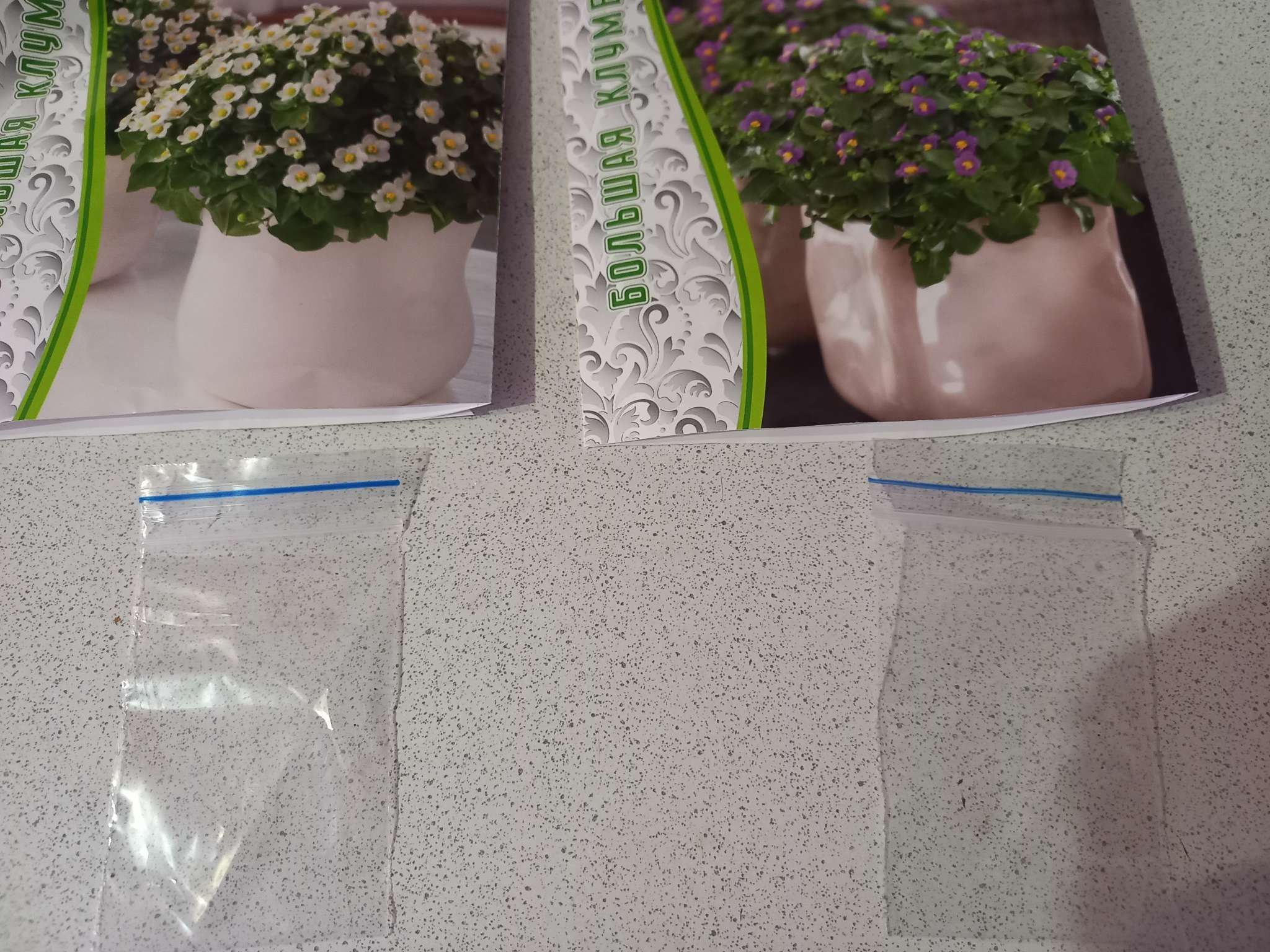 Фотография покупателя товара Семена Экзакум родственный Midget Lilac, 10 шт., «Григорьев» - Фото 1