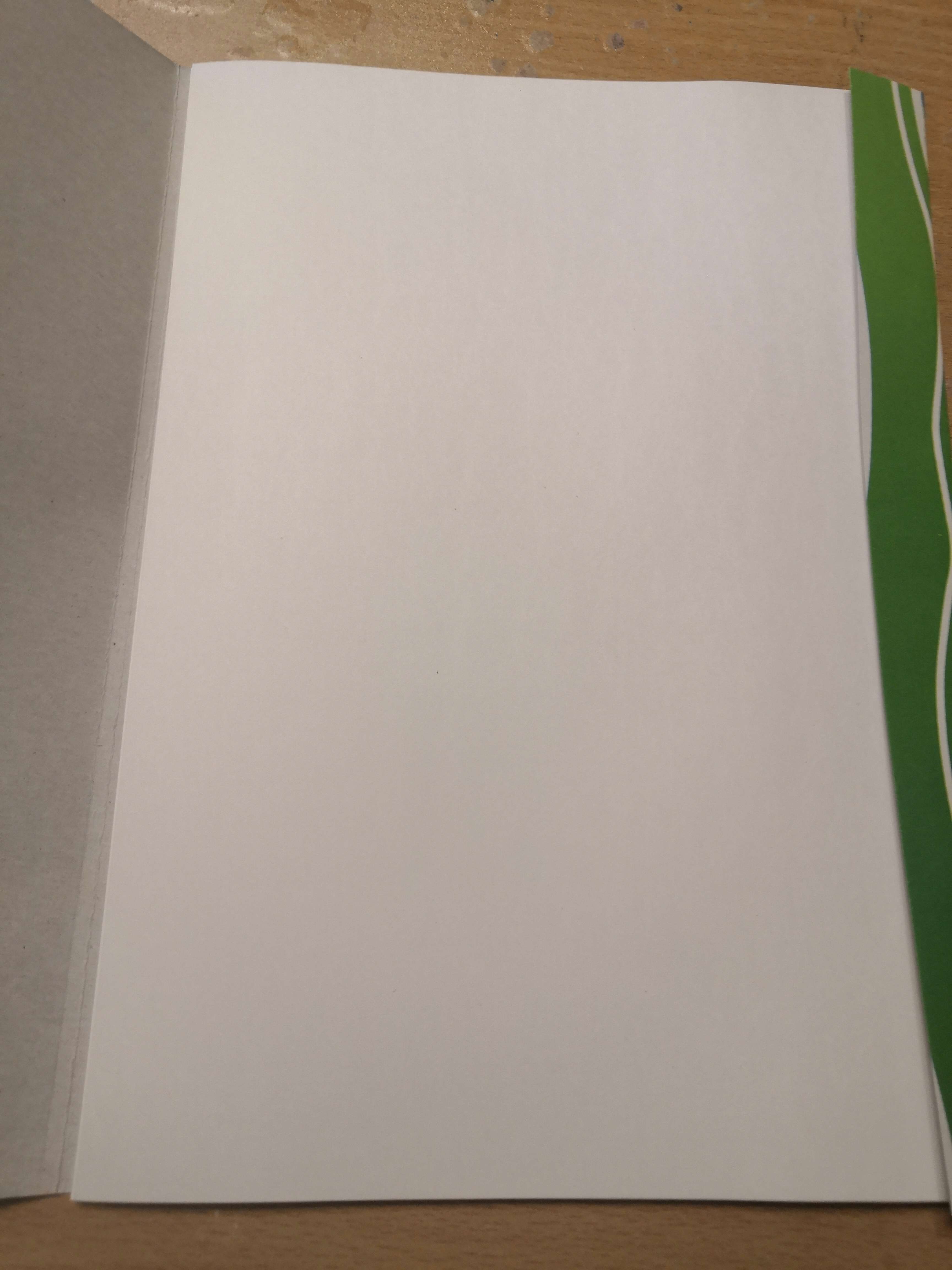 Фотография покупателя товара Папка для рисования А4, 20 листов "Тигренок", плотность 120г/м2 - Фото 2