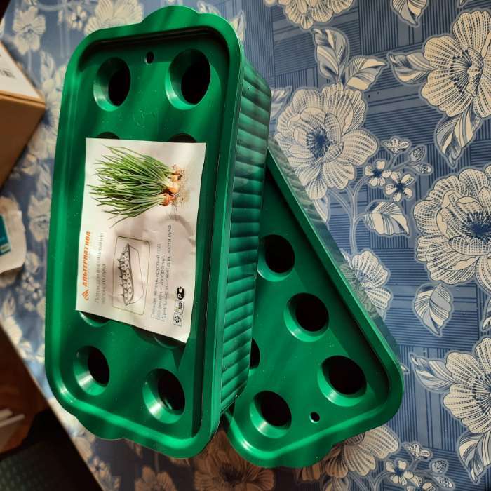 Фотография покупателя товара Лоток для выращивания зелёного лука, 29 × 16 × 8.5 см, цвет МИКС - Фото 2
