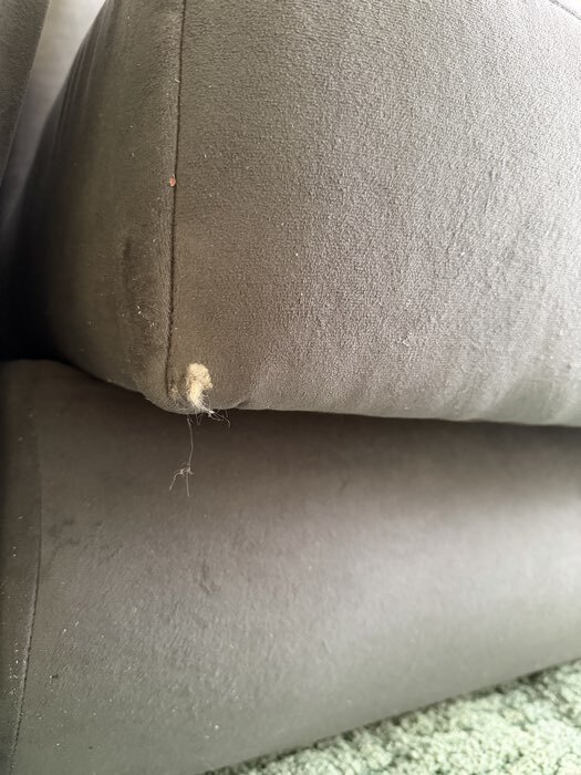 Фотография покупателя товара Диван прямой «Фишт», с мягкими подлокотниками, пружинный блок, книжка, цвет серый luma 24 - Фото 3