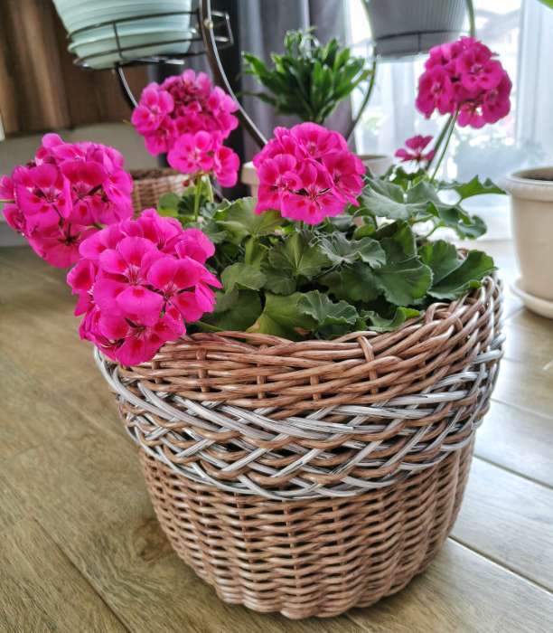 Фотография покупателя товара Ведро хозяйственно-строительное, 12 л, пластик, МИКС, Greengo - Фото 1