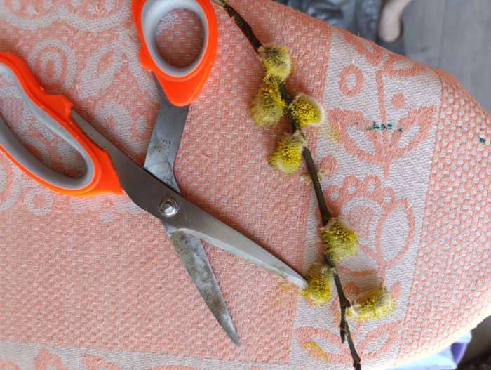 Фотография покупателя товара Ножницы портновские, скошенное лезвие, 8", 21 см, МИКС - Фото 14