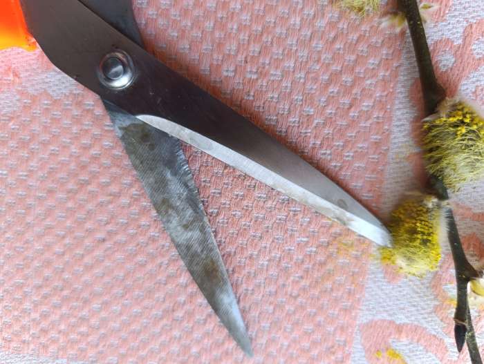 Фотография покупателя товара Ножницы портновские, скошенное лезвие, 8", 21 см, МИКС - Фото 15