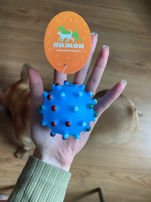 Фотография покупателя товара Игрушка пищащая "Бактерия" для собак, 6,3 см, жёлтая - Фото 2
