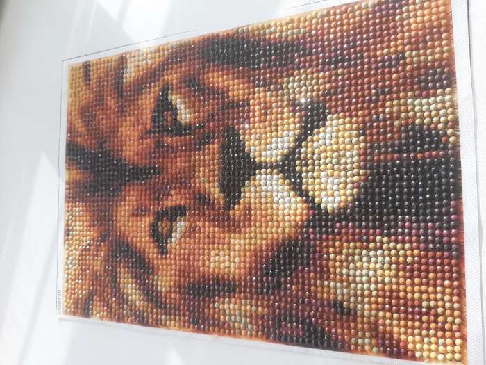 Фотография покупателя товара Алмазная мозаика с полным заполнением на холсте «Лев», 15 х 21 см - Фото 8