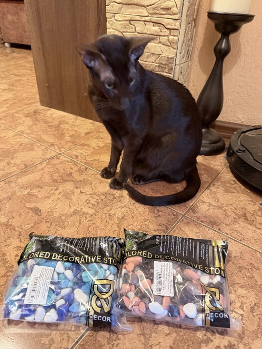 Фотография покупателя товара Грунт для аквариума DECOR DE «Галька цветная», фр. 8-12 мм, белый/темно-синий/изумрудный, 800 г - Фото 5