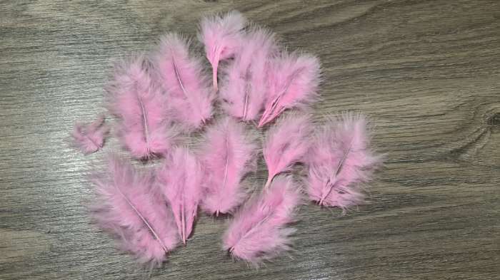 Фотография покупателя товара Набор перьев для декора 10 шт., размер 1 шт. — 10 × 2 см, цвет светло-розовый - Фото 2
