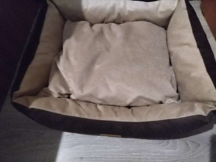 Фотография покупателя товара Лежанка со съемным чехлом,  мебельная ткань, поролон, 55 х 45 х 15 см