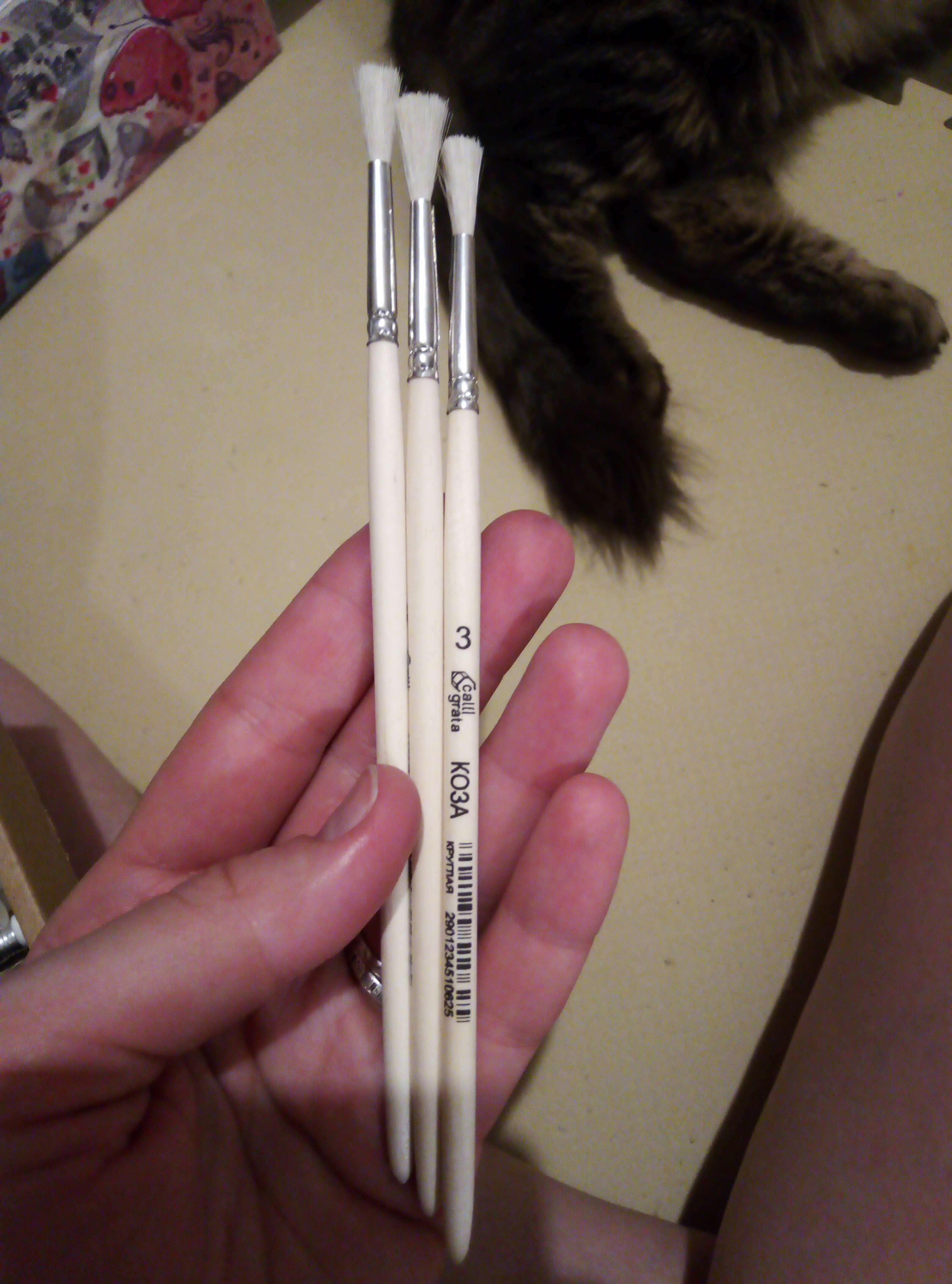Фотография покупателя товара Кисть Коза круглая №3 (диаметр обоймы 3 мм; длина волоса 16 мм), деревянная ручка Calligrata