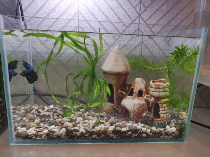 Фотография покупателя товара Декорация для аквариума "Башенки камнями'', 7х17х15 см, микс - Фото 1