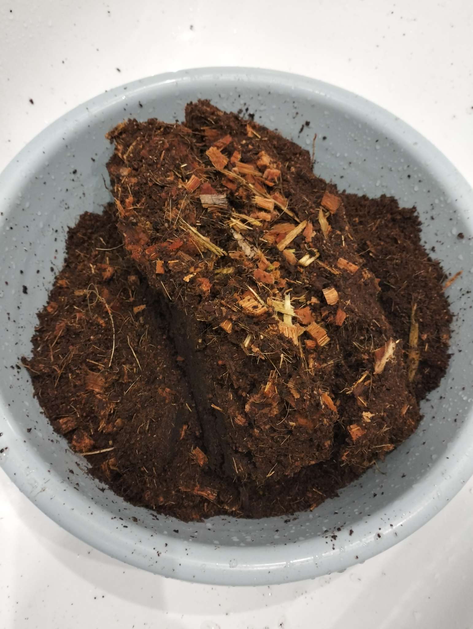 Фотография покупателя товара Субстрат кокосовый, универсальный, для террариумов и растений, в брикете, 65 л, 30% чипсы и 70% торф, Greengo - Фото 1