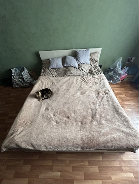 Фотография покупателя товара Кровать двуспальная, с основанием, спальное место 1600×2000 мм, велюр, цвет серый - Фото 1