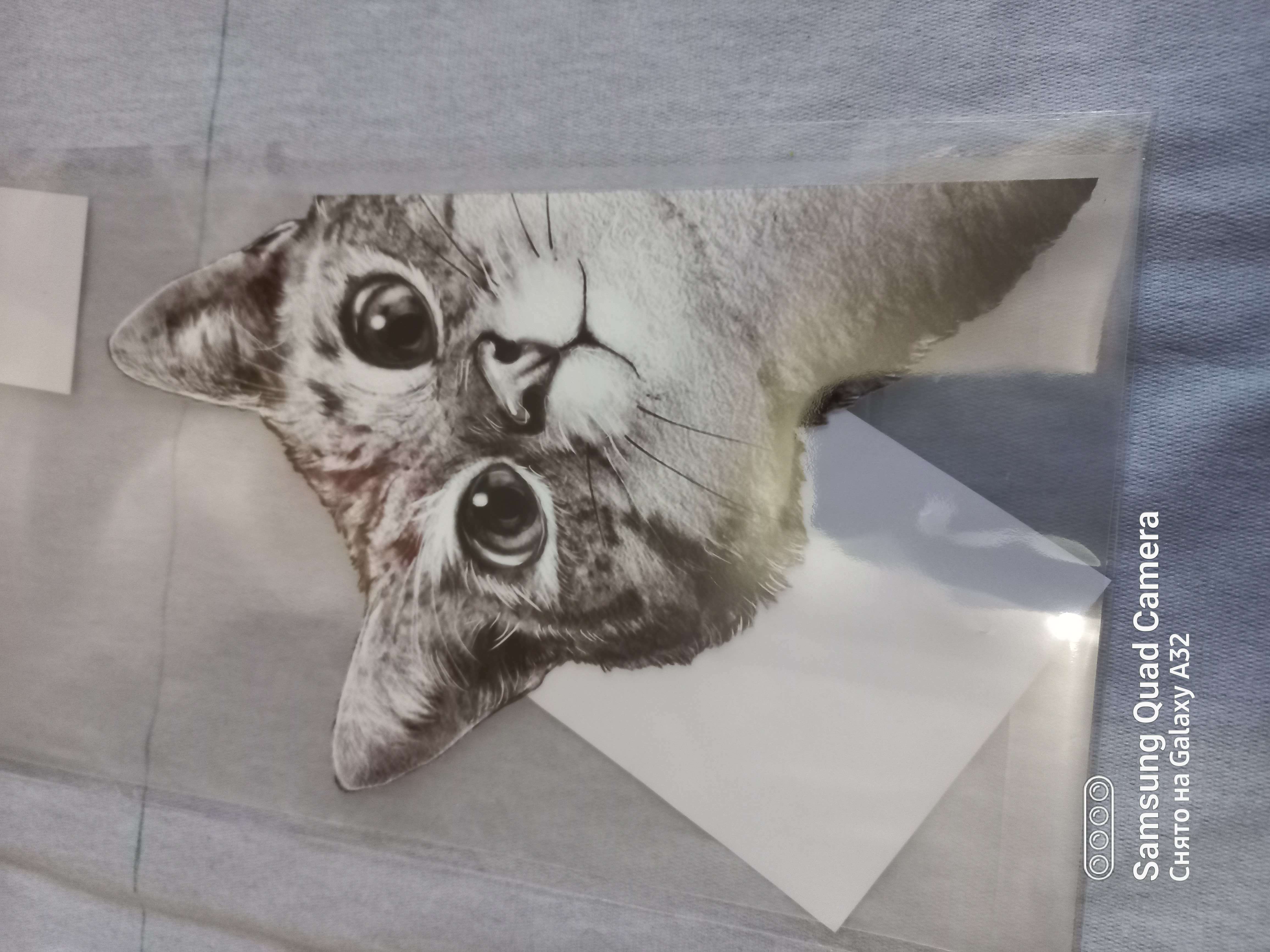 Фотография покупателя товара Термотрансфер «Любопытный кот», 14 × 22,3 см - Фото 5