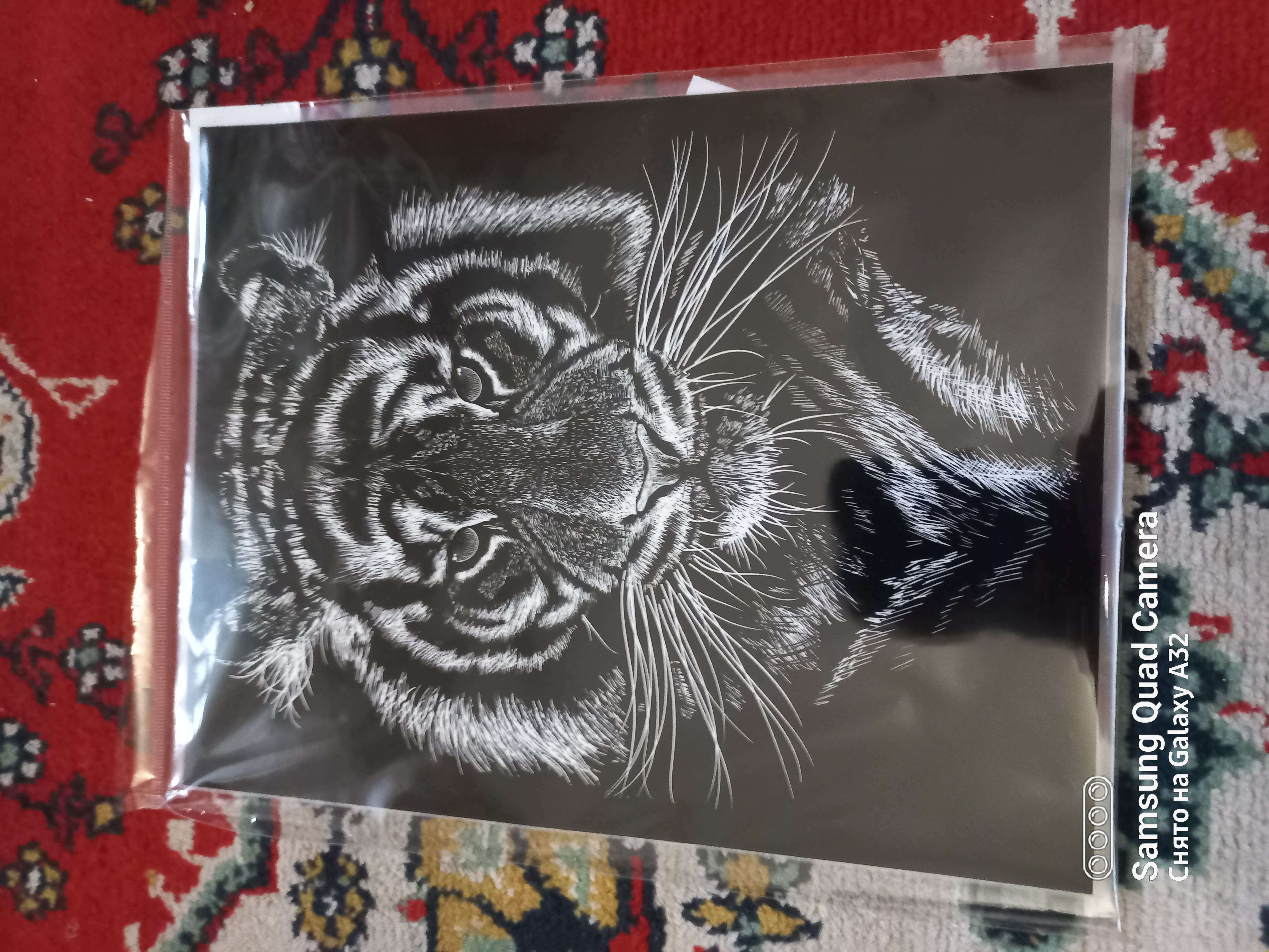 Фотография покупателя товара Термотрансфер «Портрет тигра», 22 × 28 см - Фото 2