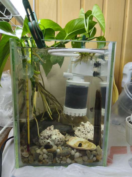 Фотография покупателя товара Отсадник односекционный 5 литров, 15.5×15.5×21 см - Фото 3