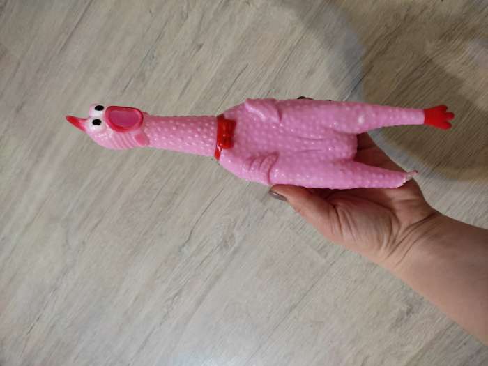 Фотография покупателя товара Игрушка пищащая "Задумчивая курица" для собак, 28 см, розовая - Фото 9