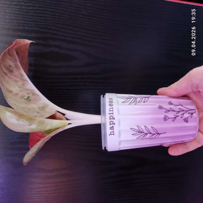 Фотография покупателя товара УЦЕНКА Стакан граненый "True man", 230 мл - Фото 1