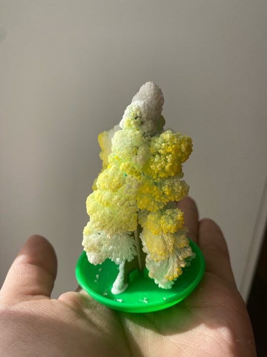 Фотография покупателя товара Набор для выращивания кристалла «Волшебное дерево» цвет зелёный - Фото 15