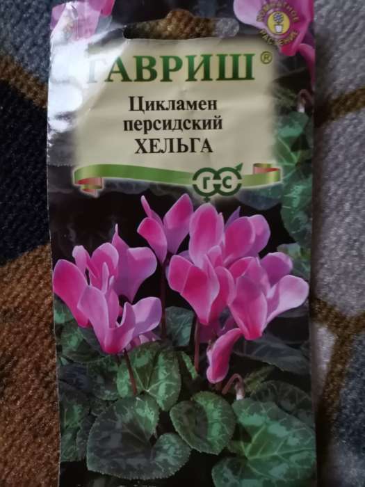Фотография покупателя товара Семена цветов Цикламен "Хельга", ц/п,  персидский, 3 шт. - Фото 1