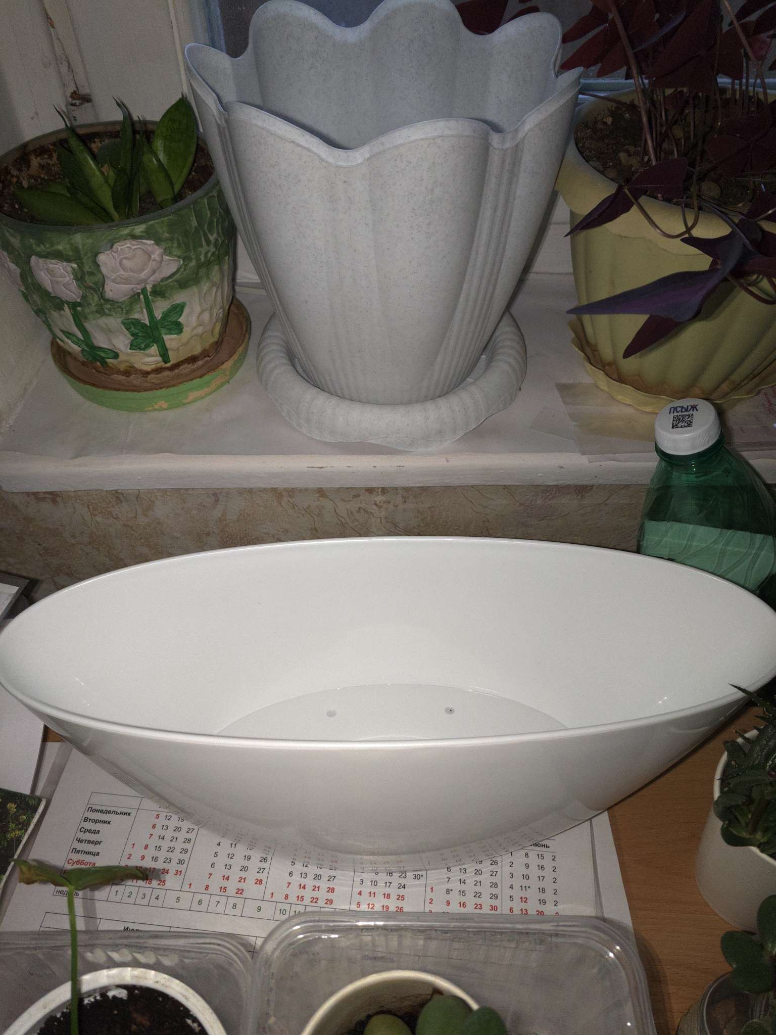 Фотография покупателя товара Горшок для цветов с поддоном Plast-Avenue «Лодочка», 3 л, пластиковый, белый - Фото 1