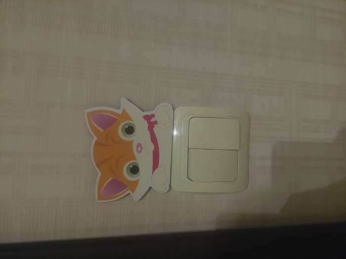 Фотография покупателя товара Декор настенный, наклейка на выключатель "Котёнок", 9.5 х 8 см - Фото 7