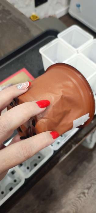 Фотография покупателя товара Горшок для рассады, 500 мл, d=11 см, h=8 см, мягкий пластик, терракот, Greengo - Фото 1