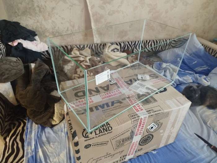 Фотография покупателя товара Аквариум Прямоугольный «Аваскейп» прозрачный шов, 54 литра, 60×30×30 см - Фото 3