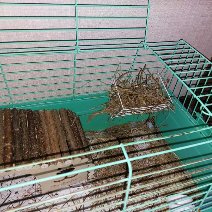 Фотография покупателя товара Держатель для сена № 1, 14×10×10 см - Фото 1