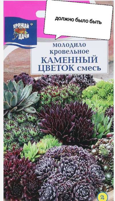 Фотография покупателя товара Семена цветов Молодило «Каменный цветок», смесь, 0.005 г, «УРОЖАЙ УДАЧИ» - Фото 1