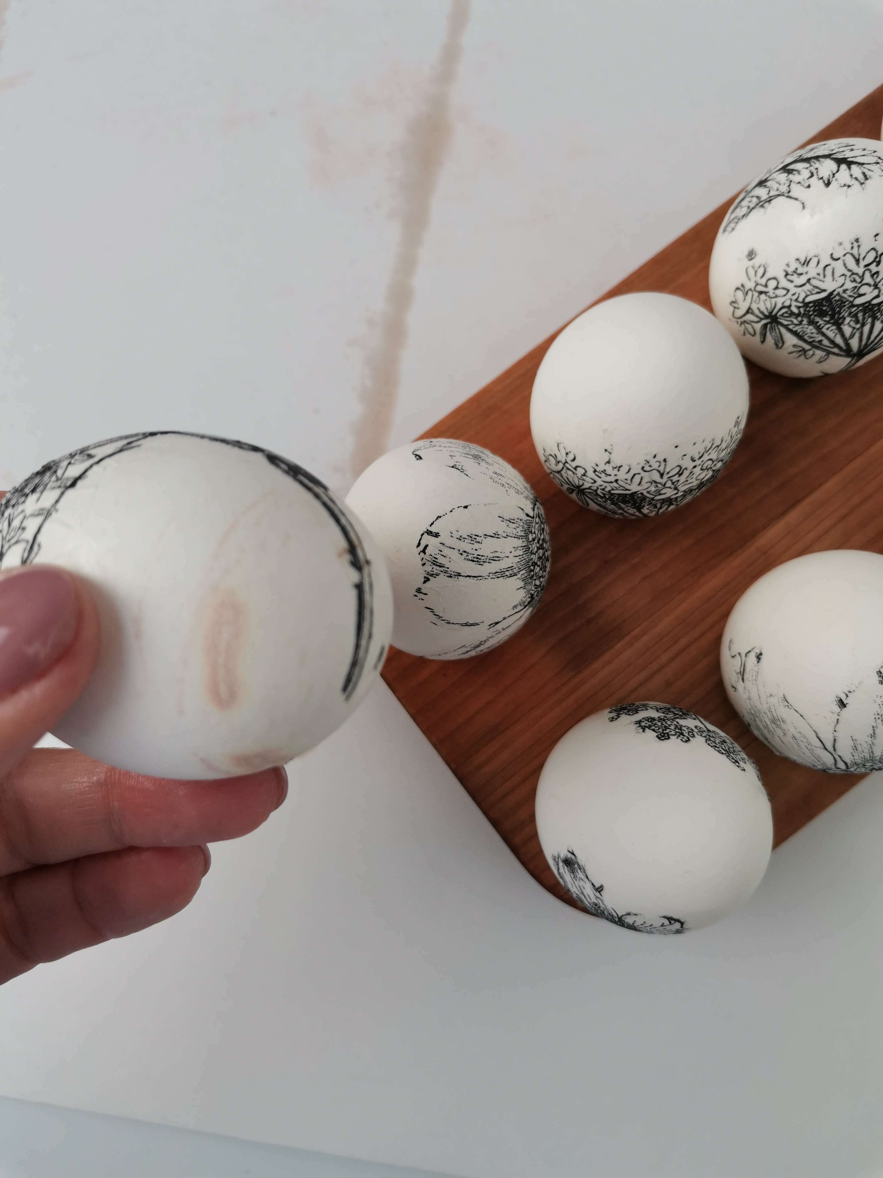 Фотография покупателя товара Подставка для яиц Adelica, 10 отделений, 12×25×1,8 см, массив берёзы - Фото 49