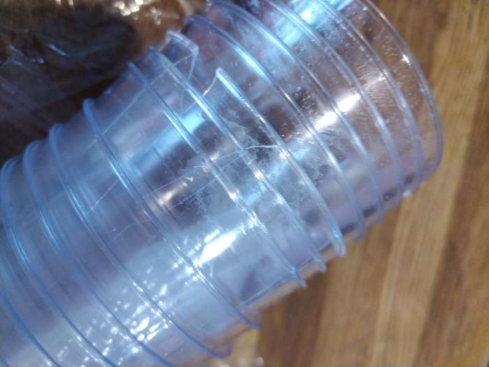 Фотография покупателя товара Стакан пластиковый одноразовый «Кристалл», 200 мл, прозрачный - Фото 48