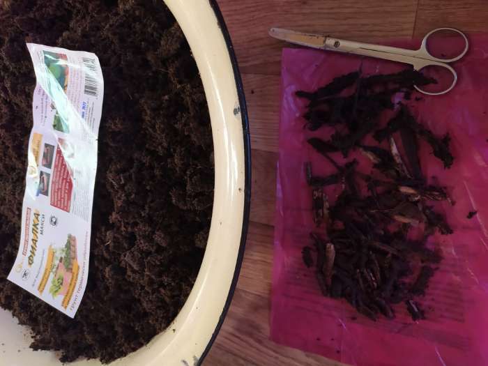 Фотография покупателя товара Торфяной грунт «Фиалка» для рассады растений, цветов, натуральный, в брикете, 8 л при разбухании