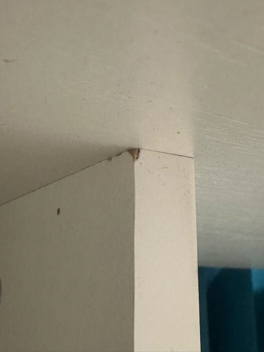 Фотография покупателя товара Стол письменный тандем «Зара», 750×2182×610 мм, цвет белый - Фото 29