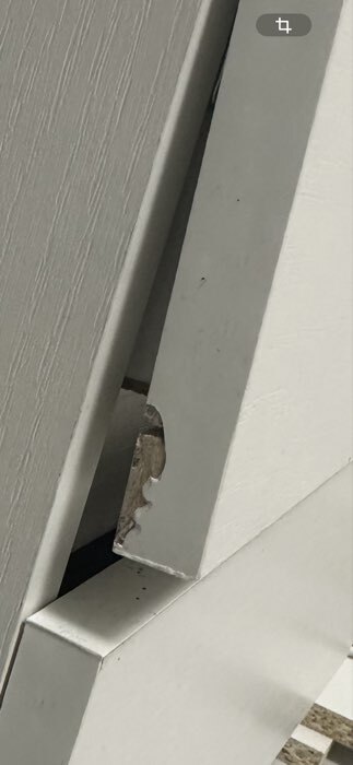 Фотография покупателя товара Стол письменный тандем «Зара», 750×2182×610 мм, цвет белый - Фото 28