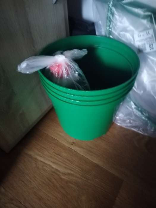 Фотография покупателя товара Горшок для рассады, 3 л, d=19 см, h=15 см, пластик, чёрный, Greengo - Фото 1