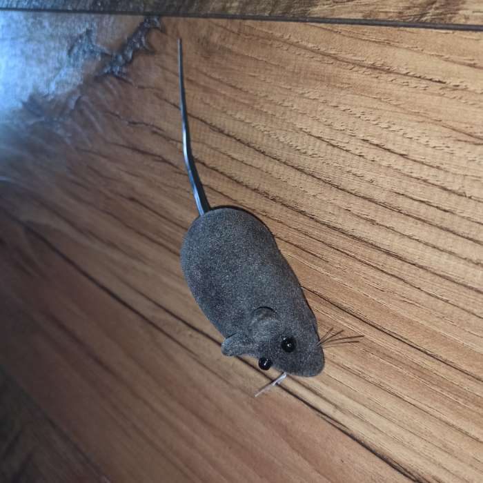 Фотография покупателя товара Мышь бархатная, 6 см, серая - Фото 21