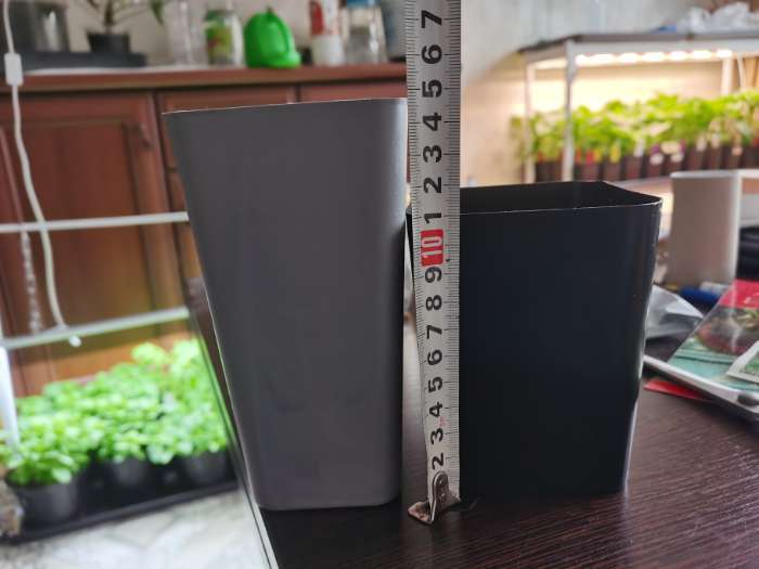 Фотография покупателя товара Горшок для рассады, 600 мл, 8×8×15 см, пластик, МИКС, Greengo - Фото 81