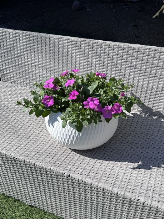 Фотография покупателя товара Кашпо для цветов «Жемчужина», 4 л, d=29 см, h=19.5 см, пластик, со вставкой, белое - Фото 2