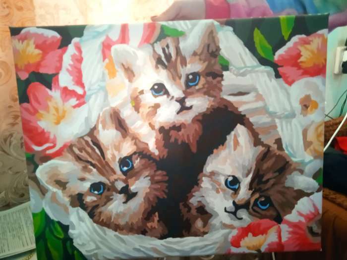 Фотография покупателя товара Картина по номерам на холсте с подрамником «Котята», 40 х 50 см