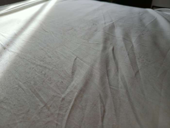 Фотография покупателя товара Простыня на резинке 2-спальная SL Home Tencel, 160×200+30 см, белая, тенсель - Фото 4