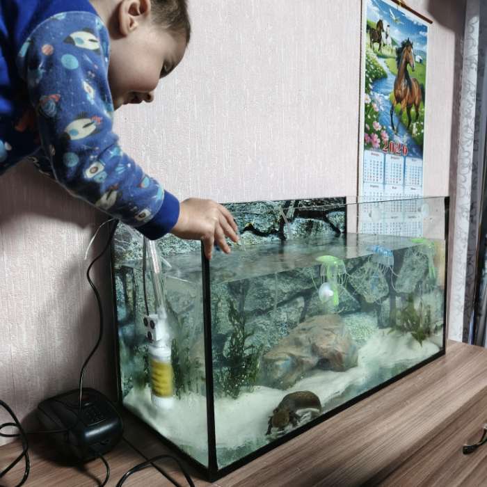 Фотография покупателя товара Аквариум «Прямоугольный» без крышки, 75 л, 69×29×37 см - Фото 3