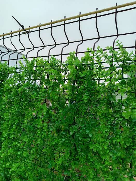 Фотография покупателя товара Декоративная панель, 60×40 см, «Самшит», Greengo - Фото 11