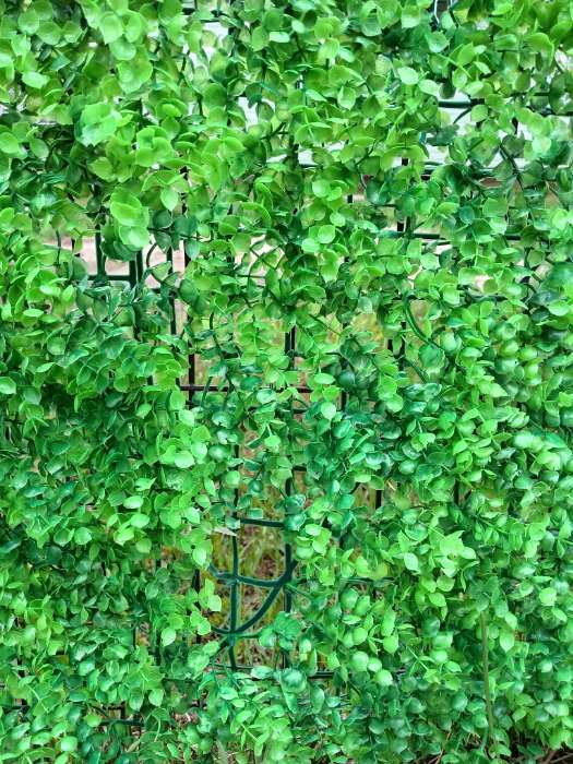 Фотография покупателя товара Декоративная панель, 60×40 см, «Самшит», Greengo - Фото 8