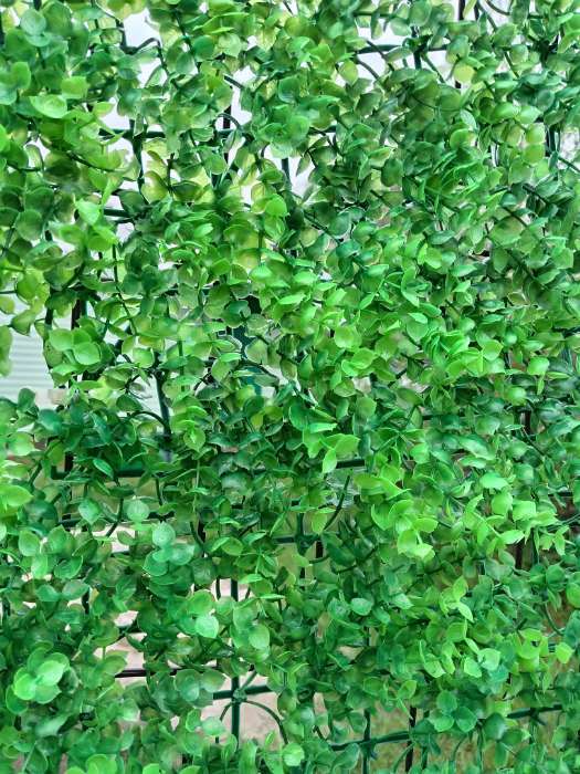 Фотография покупателя товара Декоративная панель, 60×40 см, «Самшит», Greengo - Фото 9