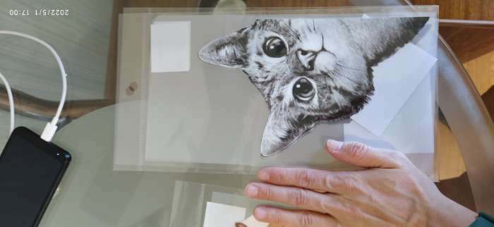Фотография покупателя товара Термотрансфер «Любопытный кот», 14 × 22,3 см