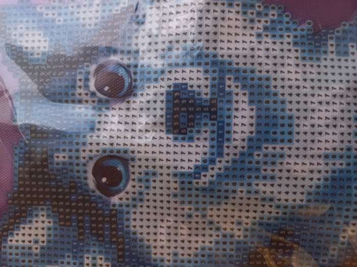 Фотография покупателя товара Алмазная мозаика с частичным заполнением «Хаски» 15×21 см, холст - Фото 2