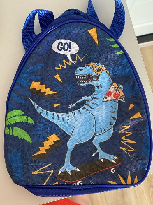 Фотография покупателя товара Рюкзак детский для мальчика Go! Dinosaur, 23×20.5 см - Фото 1