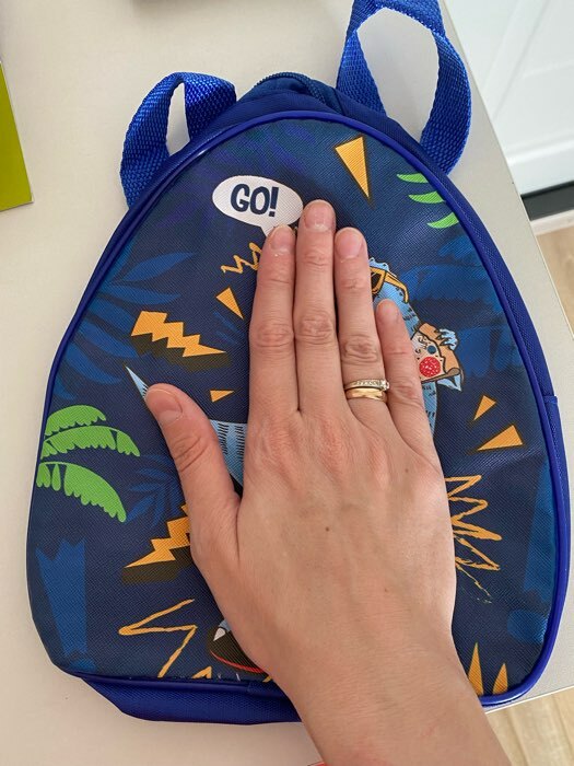 Фотография покупателя товара Рюкзак детский для мальчика Go! Dinosaur, 23×20.5 см - Фото 2