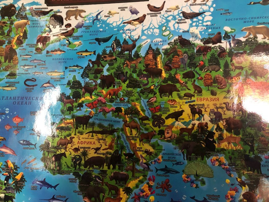 Фотография покупателя товара Интерактивная географическая карта Мира для детей "Животный и растительный мир Земли", 59 х 42 см, капсульная ламинация