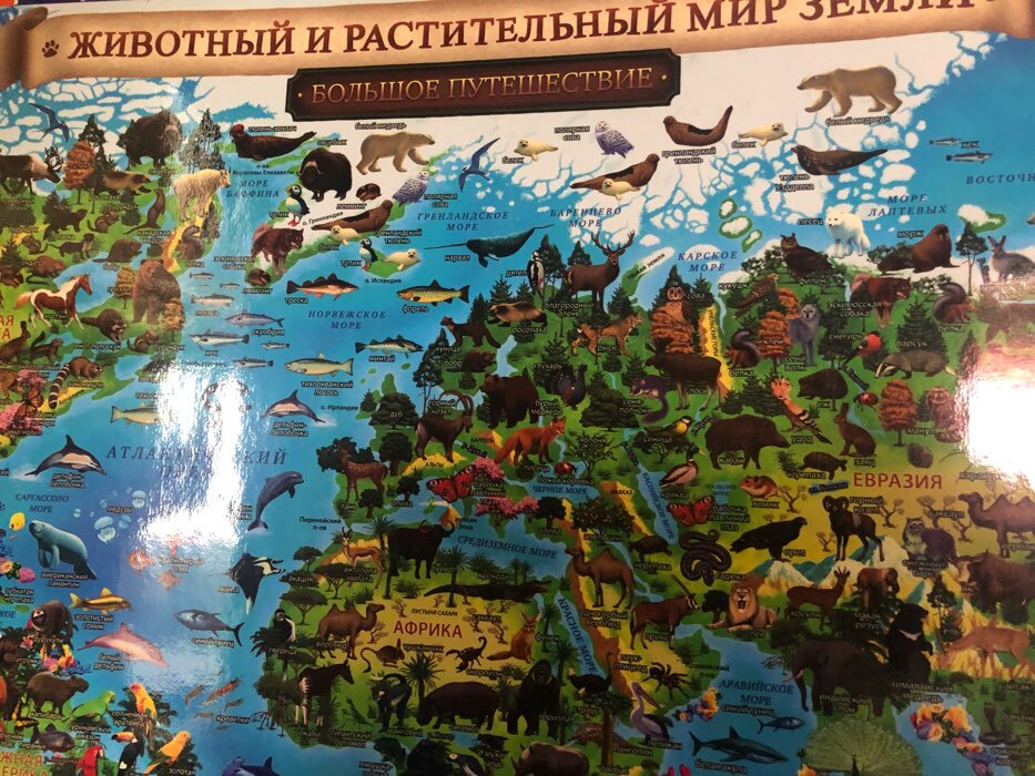 Фотография покупателя товара Интерактивная географическая карта Мира для детей "Животный и растительный мир Земли", 59 х 42 см, капсульная ламинация